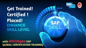 JOIN SAP TRAINING - CHASE YOUR DREAM JOB IN TOP IT MNCS